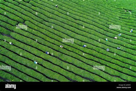 Zhang qian silk road hi-res stock photography and images - Alamy