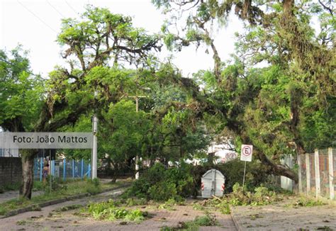 Temporal Em Porto Alegre Fernando Albrecht Colunista