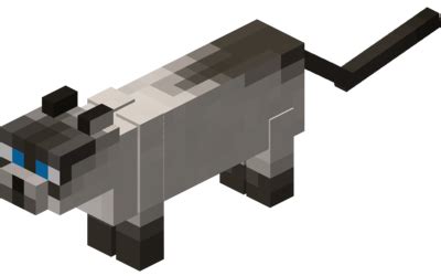 Katze – Das offizielle Minecraft Wiki