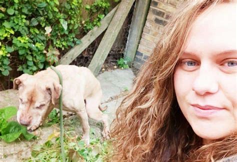 Tragic Story Of Abandoned Dog Found In Peckham Touches Hearts Across