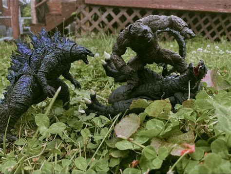 Godzilla of monster fight photography : r/GODZILLA