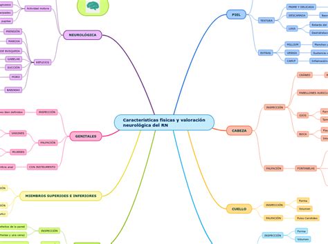 Características físicas y valoración neuro Mind Map