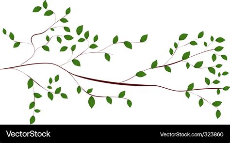 Tree branch Royalty Free Vector Image - VectorStock