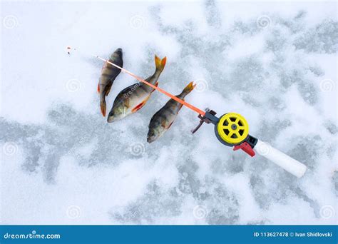 Cena Da Foto Pesca Do Inverno Do Gelo Os Peixes Travados Empoleiram