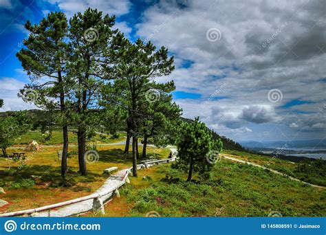 Galician Landscape on the Coast Stock Image - Image of blue, tree ...