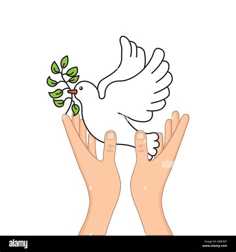 Peace Dove With Olive Branch Stock Vector Image And Art Alamy