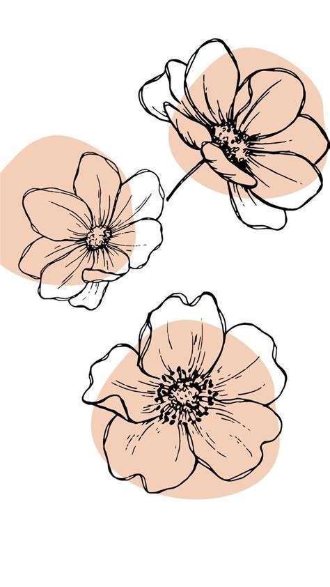 three flowers are shown on a white background