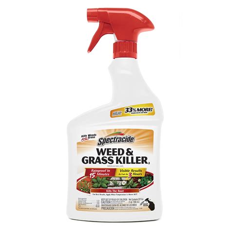 Best Weed Killer for Flower Beds: Top Picks for Effective and Safe