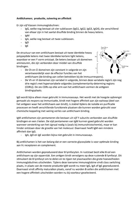 Moleculaire Diagnostiek Samenvatting Antilichamen Productie