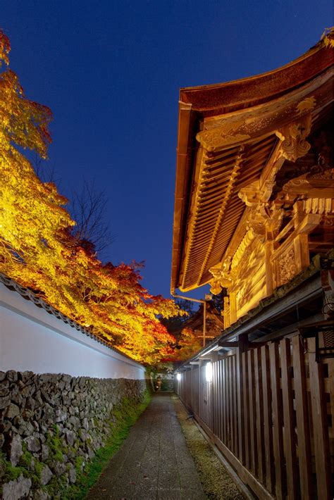 京都・亀岡 紅く染まる鍬山神社 京を歩けば。