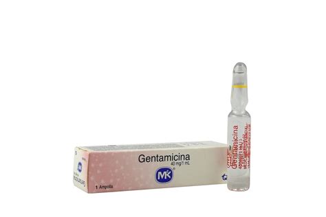 GENTAMICINA 40 MG ML AMPOLLA ML Brix Medic Productos