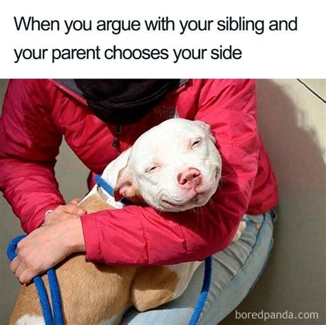 Of The Best Sibling Memes Ever Crazy Funny Memes Sibling Memes