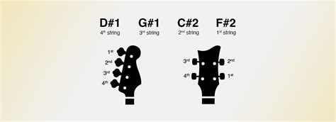 Half Step Down Bass Tuner