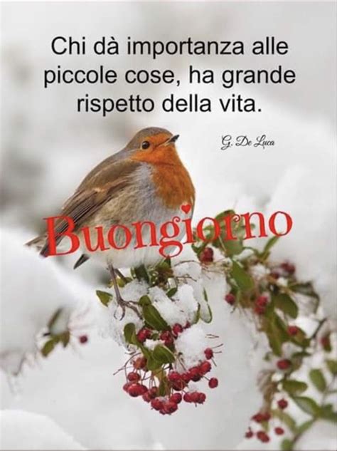 Pin Di Mirella Su Buona Giornata Saluti Buonanotte Buongiorno