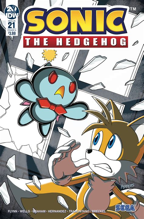 Idw Sonic The Hedgehog Issue 21 Wiki Idw Sonic Hub Fandom