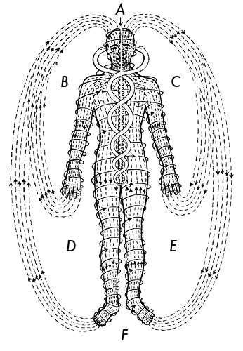 Polarity Therapy Volume Book Chart Polarity Therapy Energy