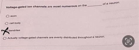Solved Voltage-gated ion channels are most numerous on the | Chegg.com 