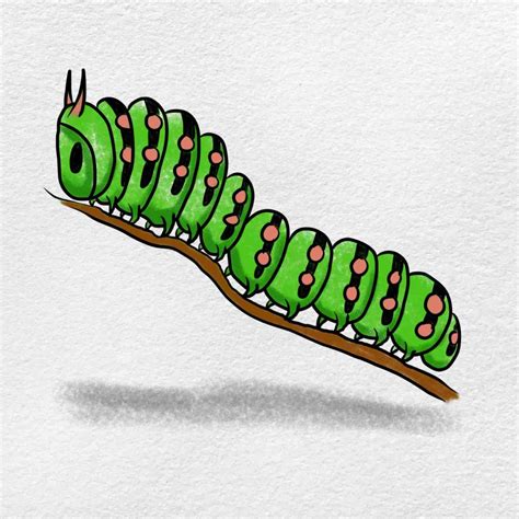 How to Draw a Caterpillar - HelloArtsy