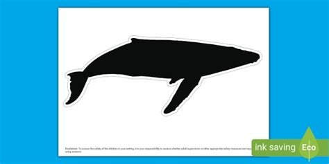 Whale Silhouette Cut Out Lehrer Gemacht Twinkl