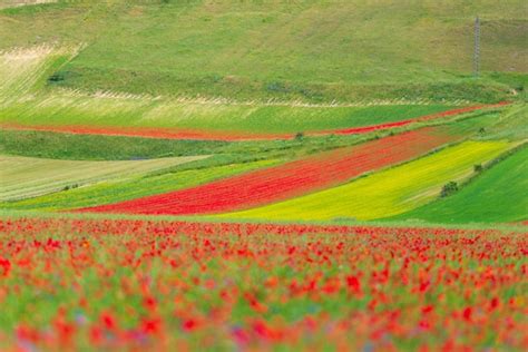 Premium Photo Castelluccio Di Norcia Highlands Italy Blooming