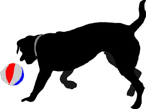 Hund Jagt Ball Vektor Illustration Public Domain Vektoren