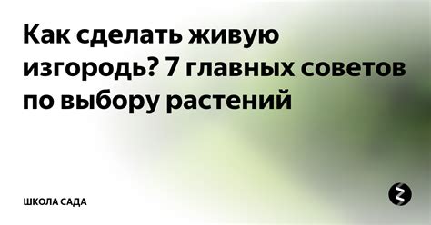 Как сделать живую изгородь? 7 главных советов по выбору растений ...