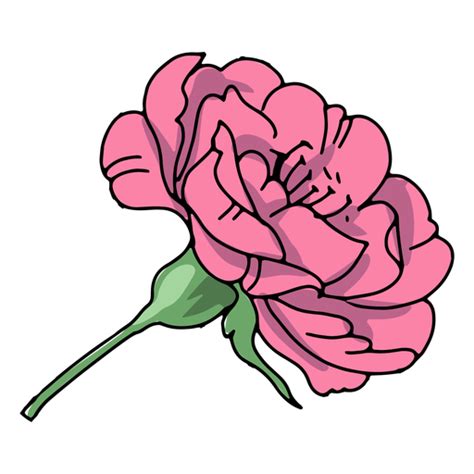 Flower Stem Illustration Png And Svg Design For T Shirts