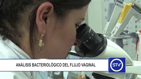 ANÁLISIS BACTERIOLÓGICO DEL FLUJO VAGINAL YouTube