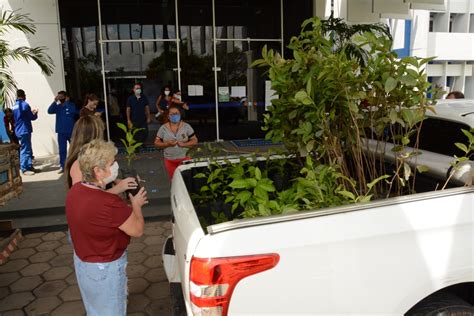 Mudas De Plantas S O Distribu Das Para Servidores Em Alus O Ao Dia Da