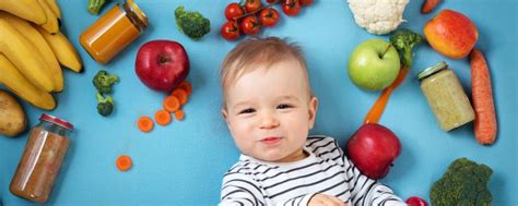 richtige Ernährung fürs Baby Von der Milch bis zur Beikost