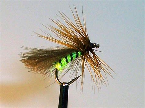 A New Look At The Grannom Global Flyfisher The Grannom Is A Small