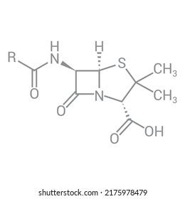 Beta Lactam Ring Penicillin Chemical Structure Stock Vector Royalty