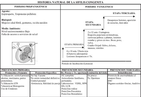 Historia Natural De La Enfermedad Concepto De Historia Natural De La