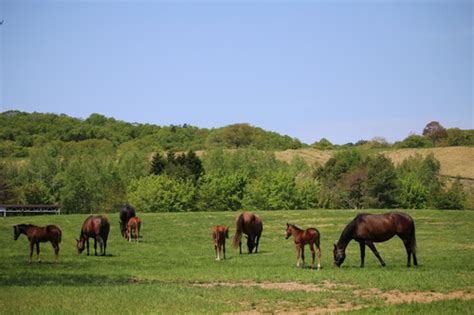 jra