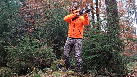 CHASSE EN BATTUE Superbes Scènes De Chasse En Alsace YouTube