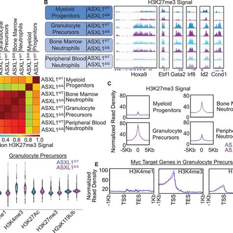 ASXL1 Deletion Does Not Substantially Impact The Landscape Of Covalent