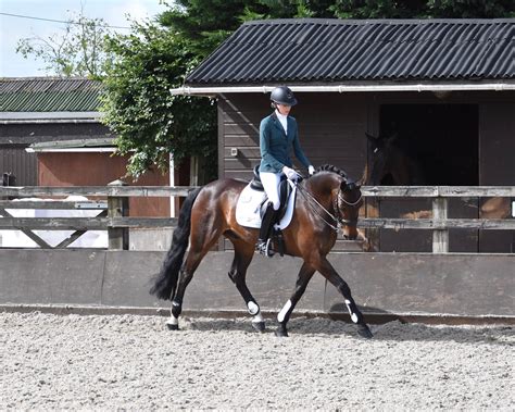Samshield Breeches and Stock | Forelock and Load