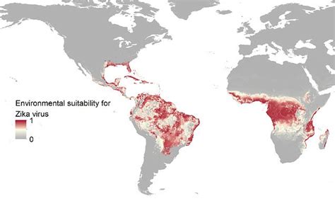 Zika Virus Threatens Billion People Worldwide Oxford University