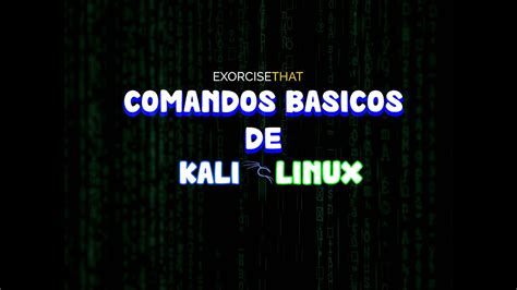 Primeros Pasos Comandos De Kali Linux Basicos YouTube