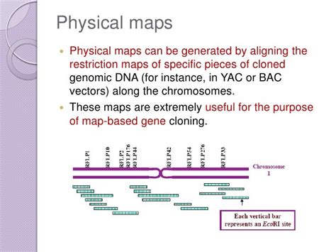 Genome Mapping