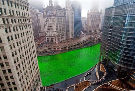 St. Patrick’s day in Chicago | Funny Pictures, Quotes, Pics, Photos ...