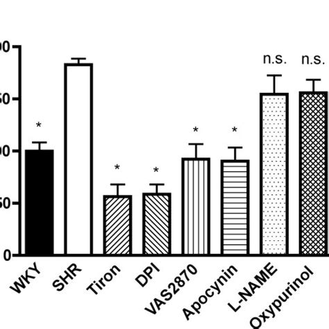 Nadph Oxidase Activity In Aortic Homogenates Of Wky And Shr The Graph