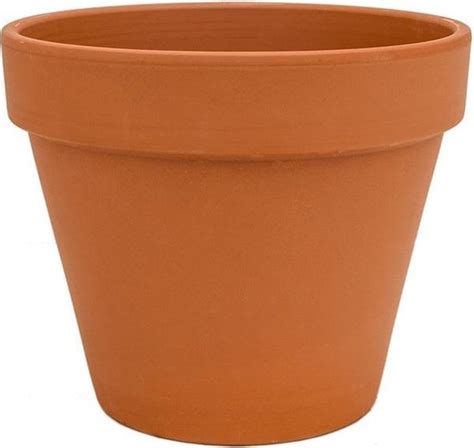 Plantenwinkel Terracotta Bloempot 15 Cm Bol