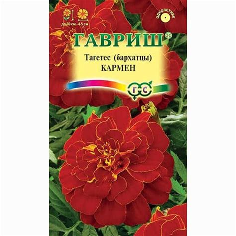 Бархатцы отклоненные (тагетес) Кармен Гавриш (91964): купить семена ...