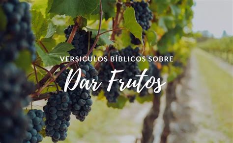 ᐅ 15 Versículos de la Biblia sobre Dar Frutos Espirituales