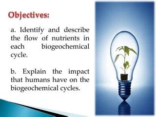 Biogeochemical Cycles/Environmental Science | PPT