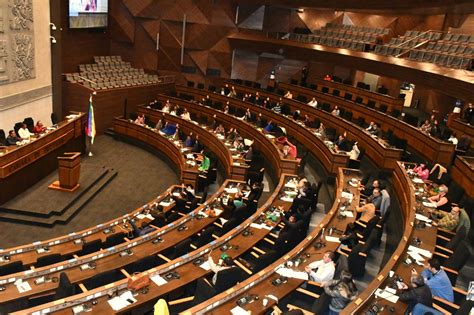 Diputados Aprueban Crédito Externo Para Censos Y Encuestas De Hogares