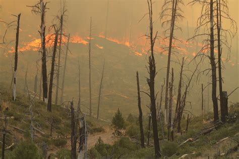 Oregon's record-breaking wildfire season ends with nearly 2 million ...