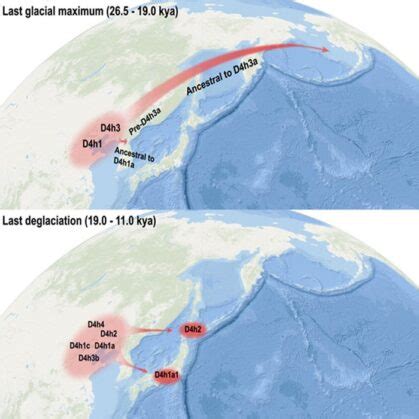 New DNA Analysis Sheds Light on Where Native Americans Come From