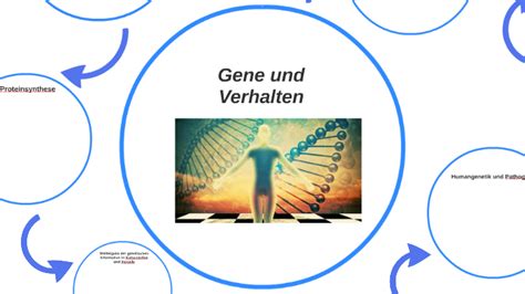 Genetik Und Verhalten By Lena Nolte On Prezi